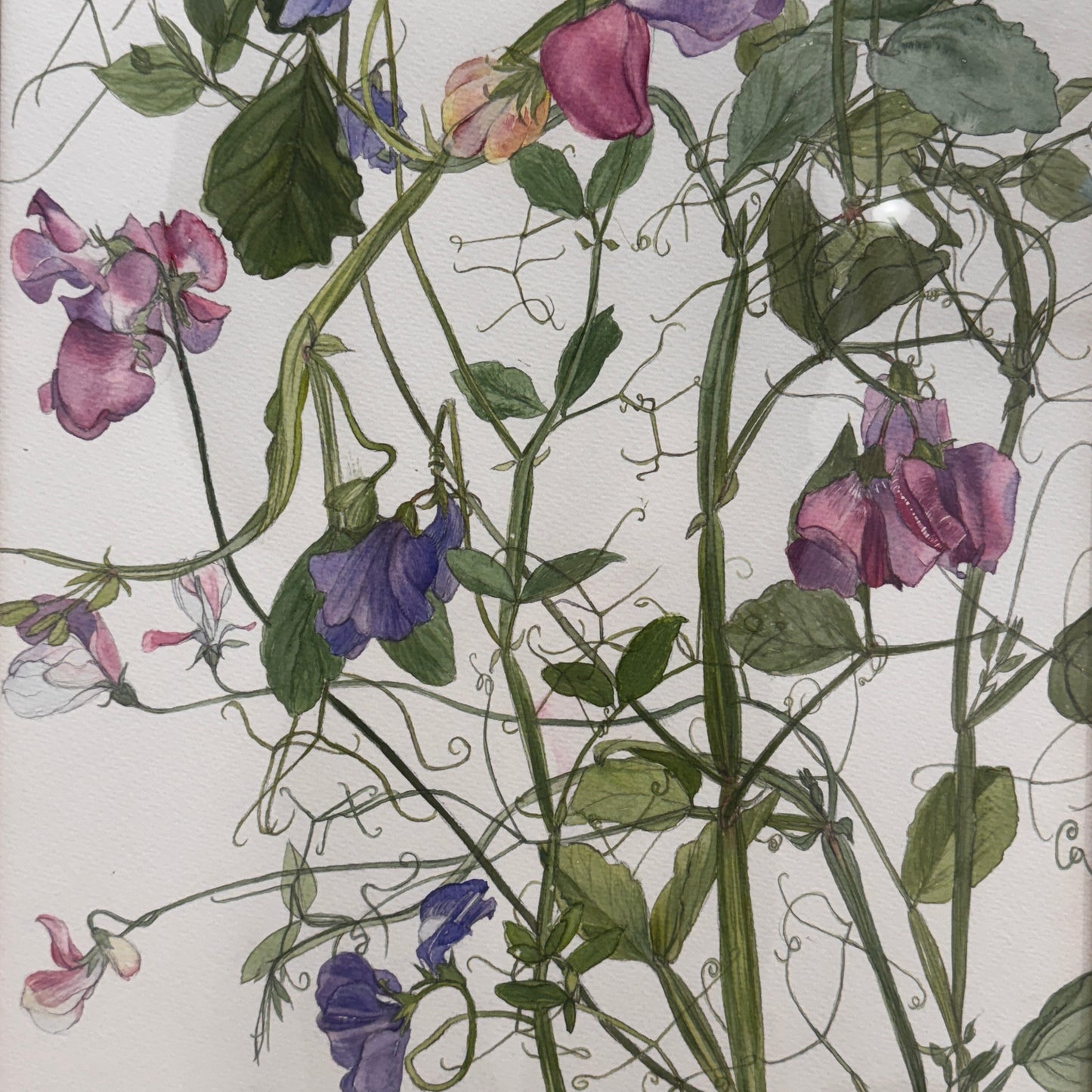Carole Saxon Artwork