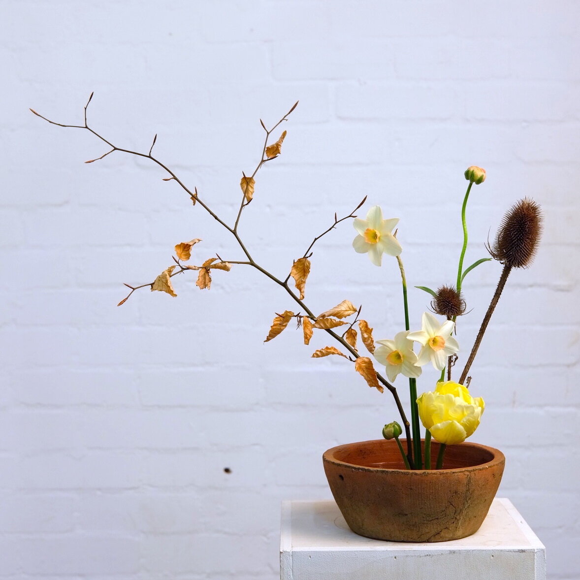 14 Aug - Community Class: Ikebana