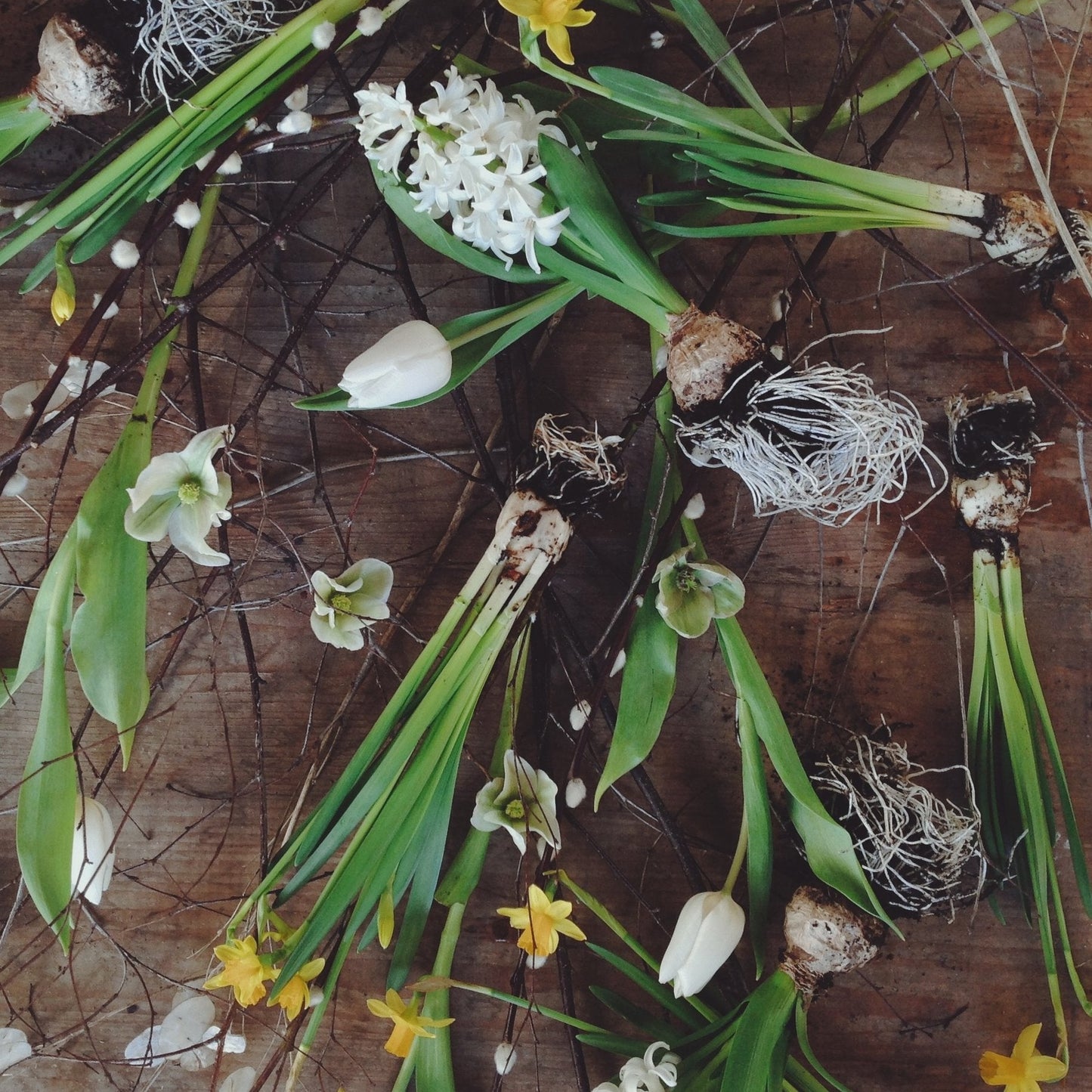 02 Apr - Community Class: Spring Wreaths