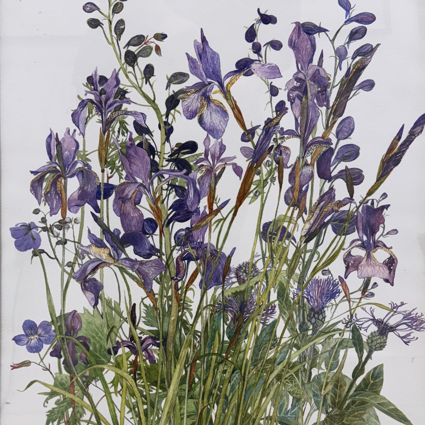 Carole Saxon Artwork