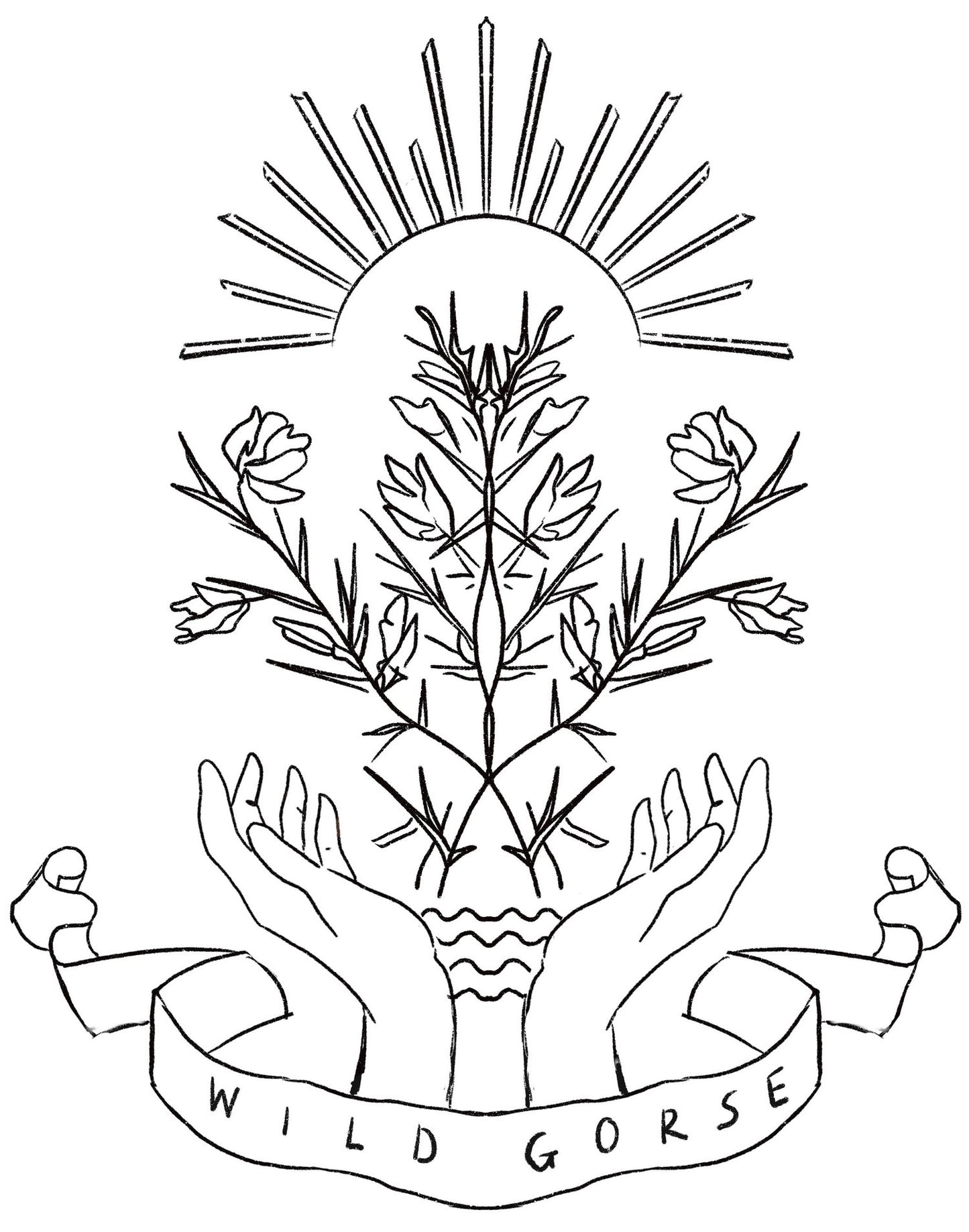 13 Aug - Community Class: Meadow Boxes